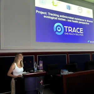 Continuing Medical Education